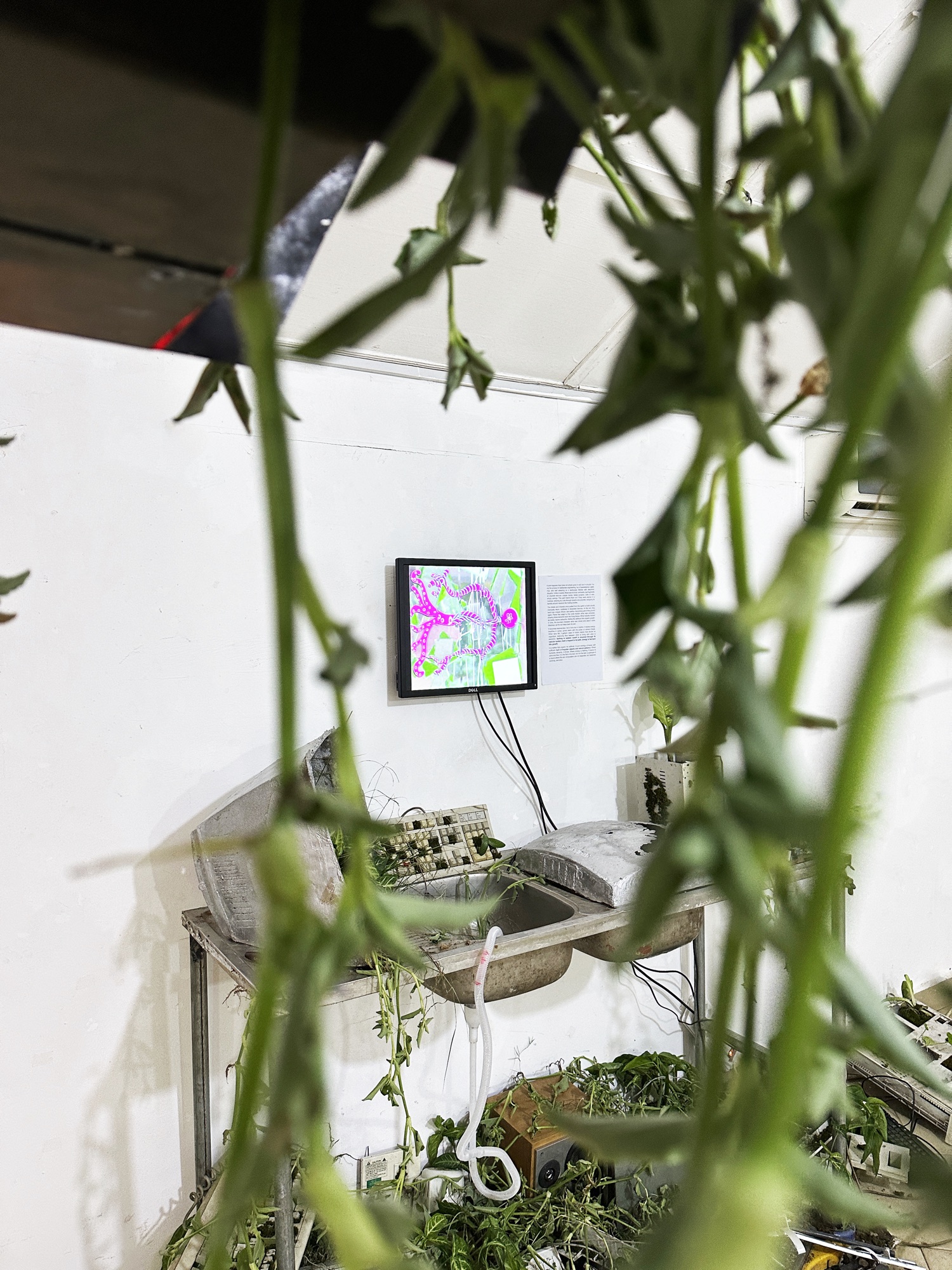 Seasonal Currents — documentation image 1